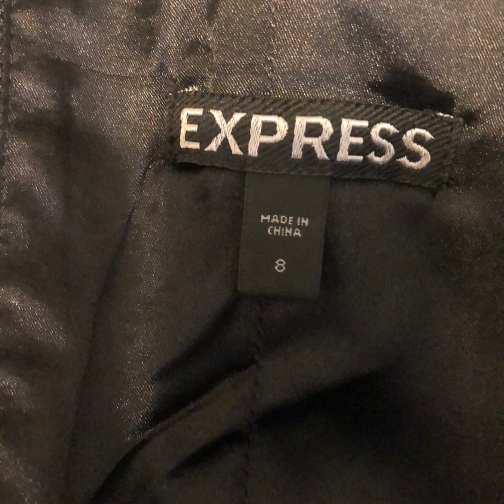 Express Dress - Picture 3 of 4